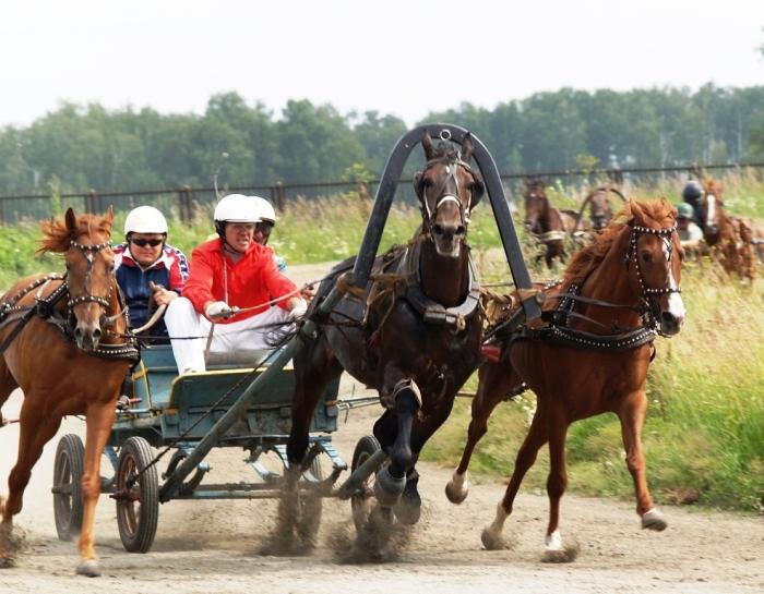 Фото Скачки на Кубок губернатора, 28 июля, 2007 года