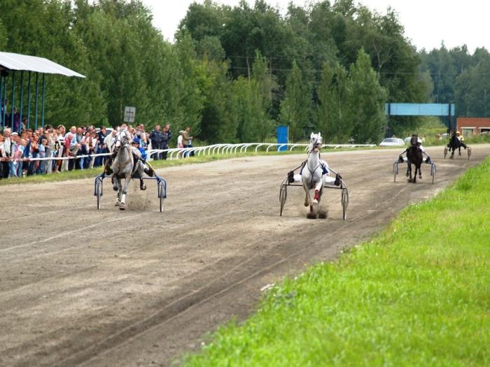 Фото Скачки на Кубок губернатора, 28 июля, 2007 года