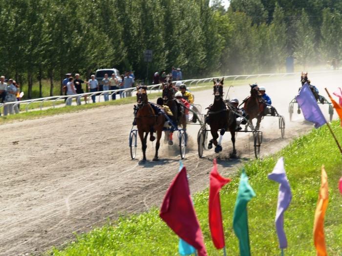 Фото Скачки на Кубок губернатора, 28 июля, 2007 года