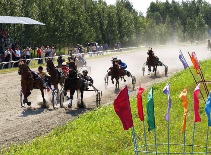 Фото Скачки на Кубок губернатора, 28 июля, 2007 года