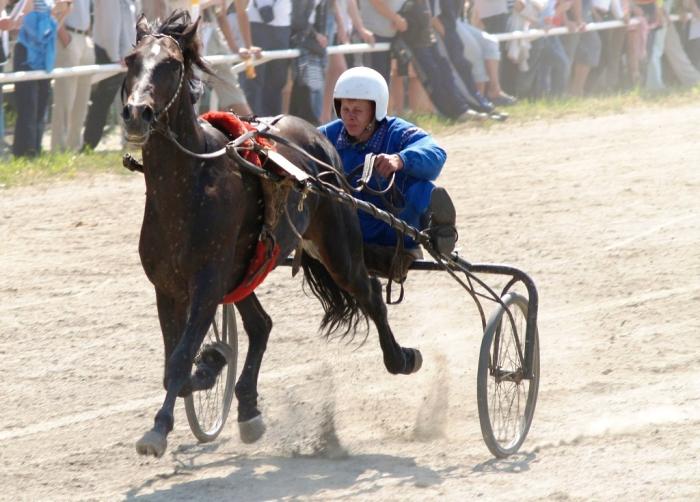 Фото Скачки на Кубок губернатора, 28 июля, 2007 года