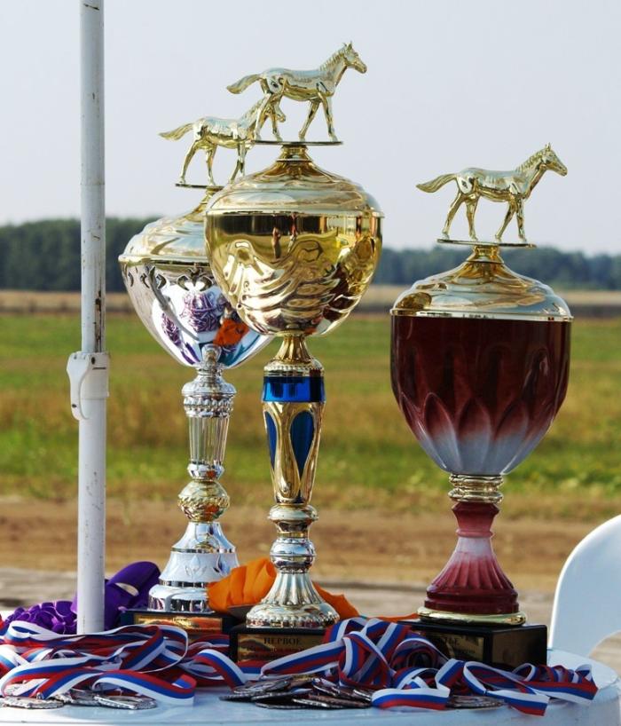 Фото Конные скачки. УрФО, август-2007
