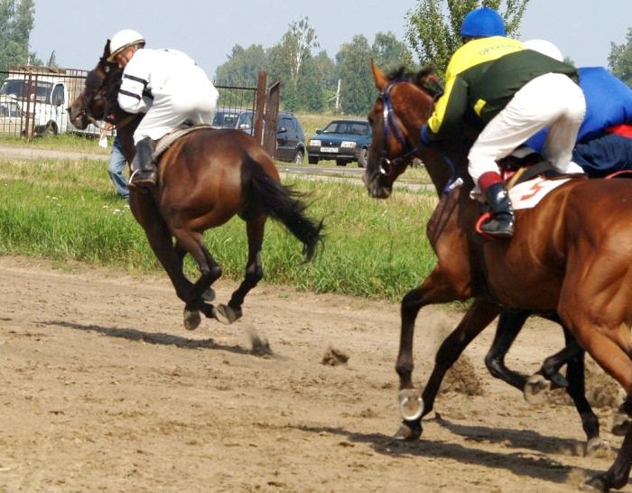 Фото Конные скачки. УрФО, август-2007