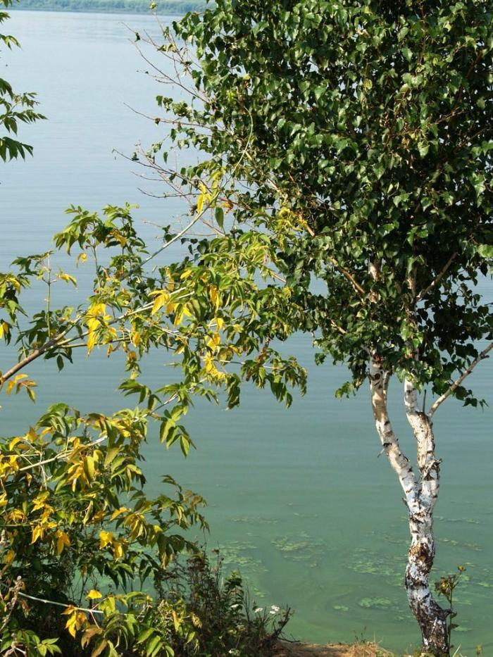 Фото Челябинск и челябинцы. Август-2007