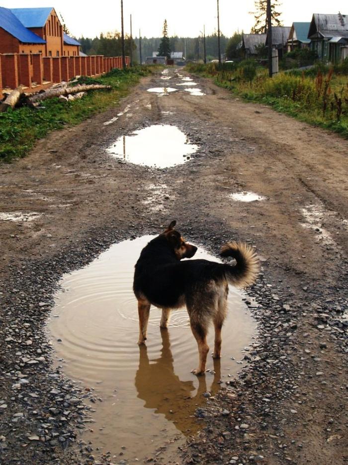 Фото Экологический парк «Зюраткуль» 