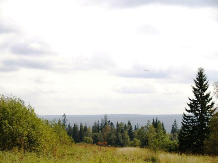 Фото Экологический парк «Зюраткуль» 