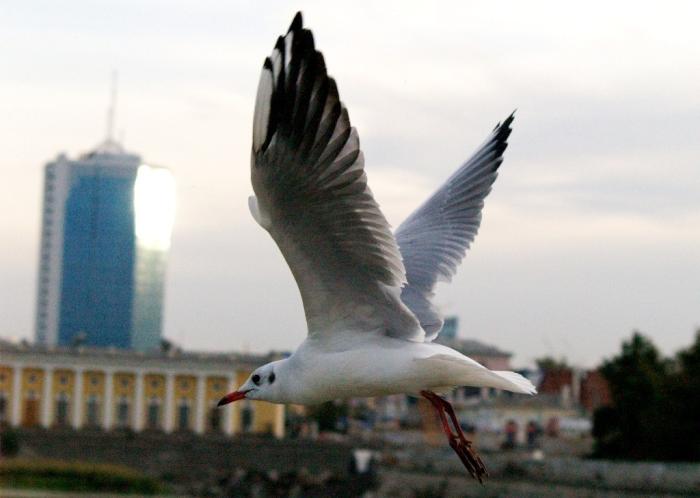 Фото Челябинск и челябинцы. Сентябрь-2007