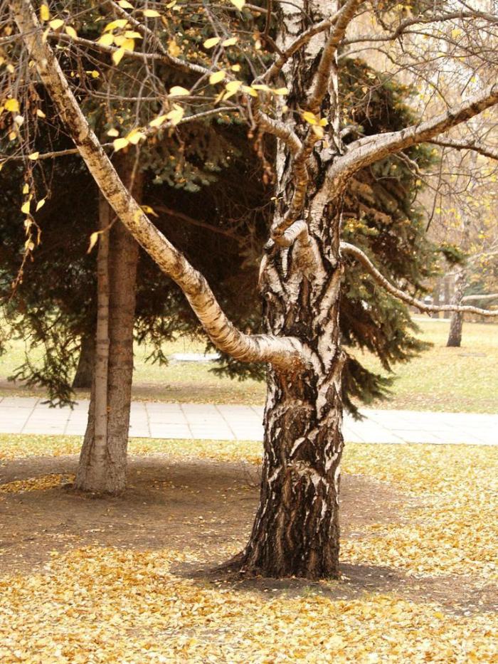Фото Челябинск и челябинцы. Октябрь-2007