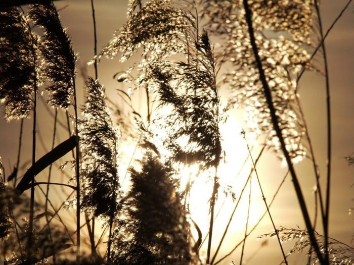Фото Челябинск и челябинцы. Октябрь-2007 (2)
