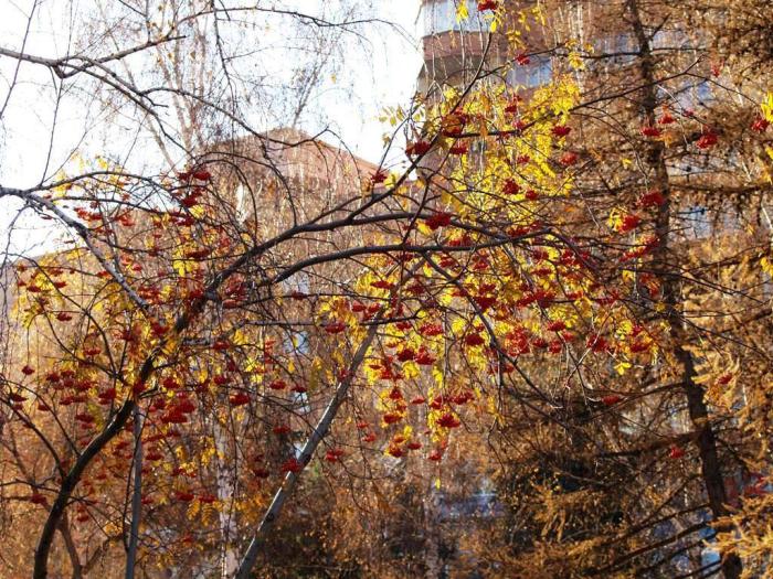 Фото Челябинск и челябинцы. Октябрь-2007 (2)