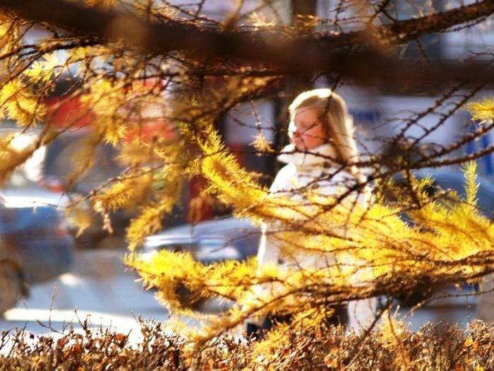 Фото Челябинск и челябинцы. Ноябрь-2007