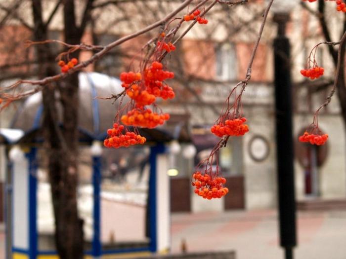 Фото Челябинск и челябинцы. Ноябрь-2007