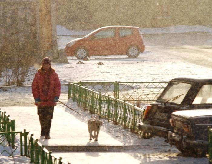 Фото Времена года. Январь-2008