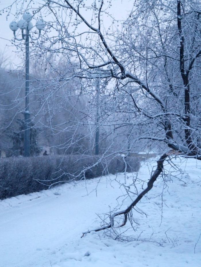 Фото Времена года. Февраль