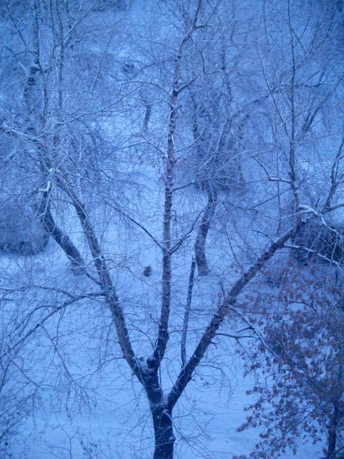 Фото Времена года. Февраль