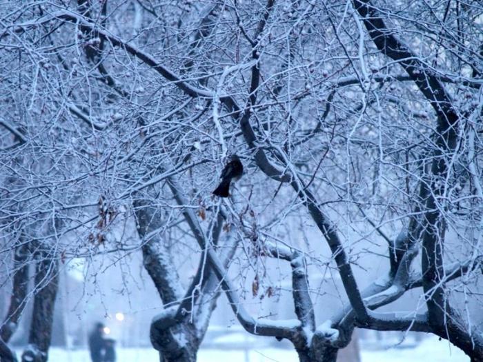 Фото Времена года. Февраль