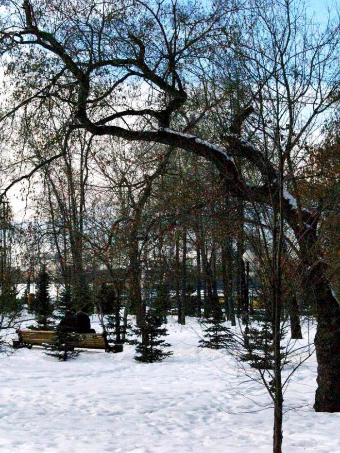 Фото Времена года. Февраль