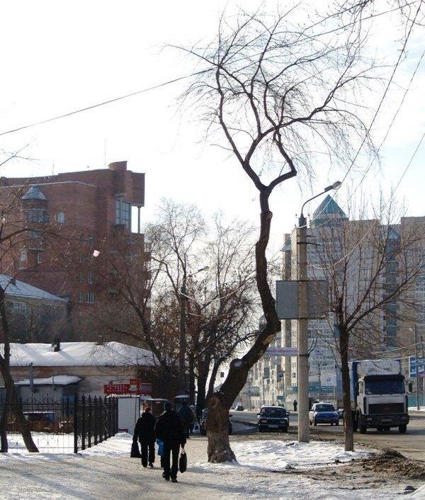 Фото Времена года. Февраль