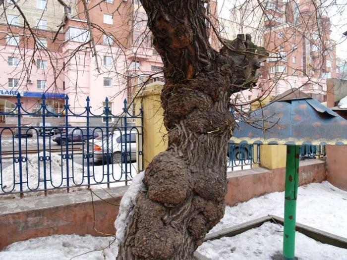 Фото Времена года. Март-2008