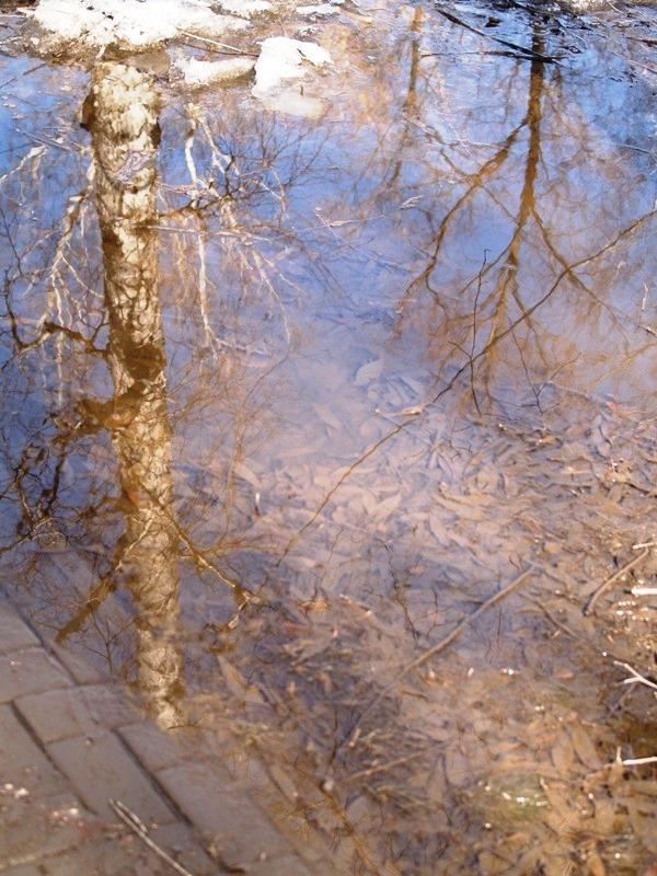 Фото Времена года. Март-2008