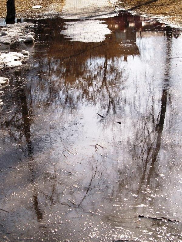 Фото Времена года. Март-2008