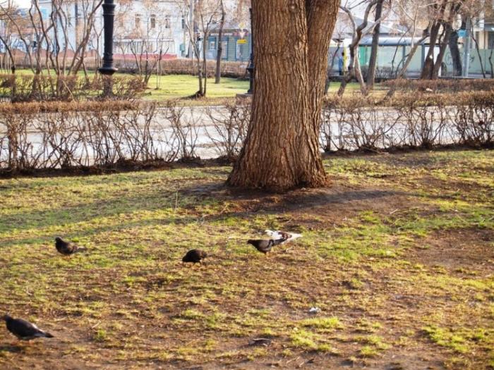 Фото СРЕДА ОБИТАНИЯ-2