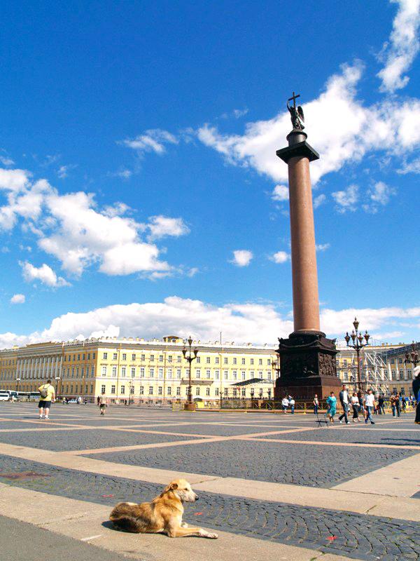 Фото Питерские сюжеты