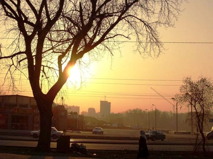 Фото Времена года. Апрель-2008