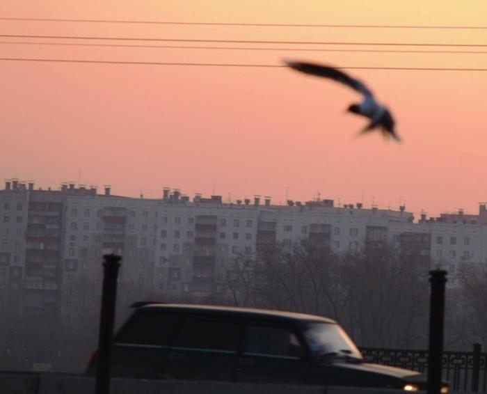 Фото Времена года. Апрель-2008