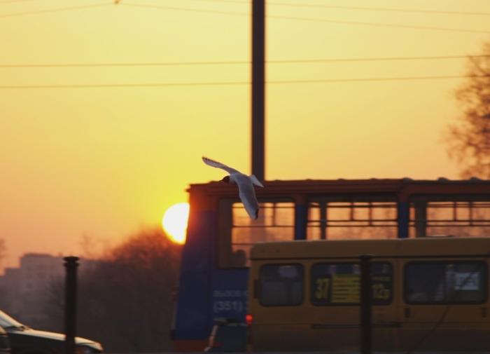 Фото Времена года. Апрель-2008