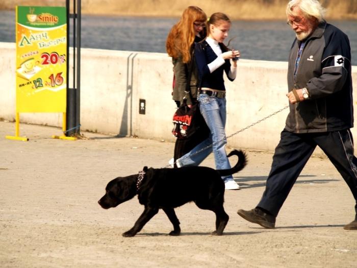 Фото Времена года. Апрель-2008