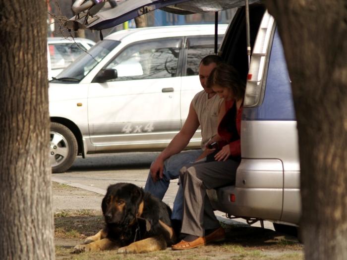 Фото Времена года. Апрель-2008
