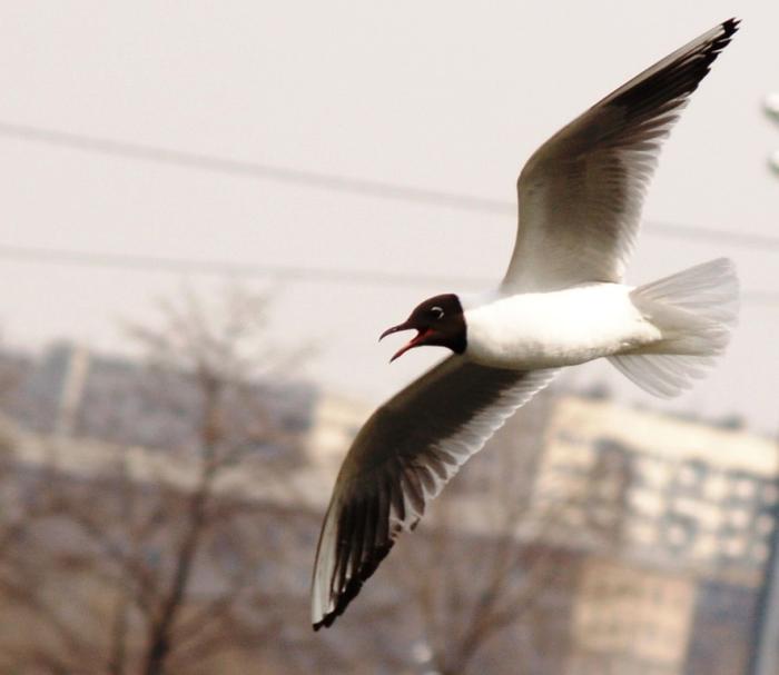 Фото Времена года. Апрель-2008
