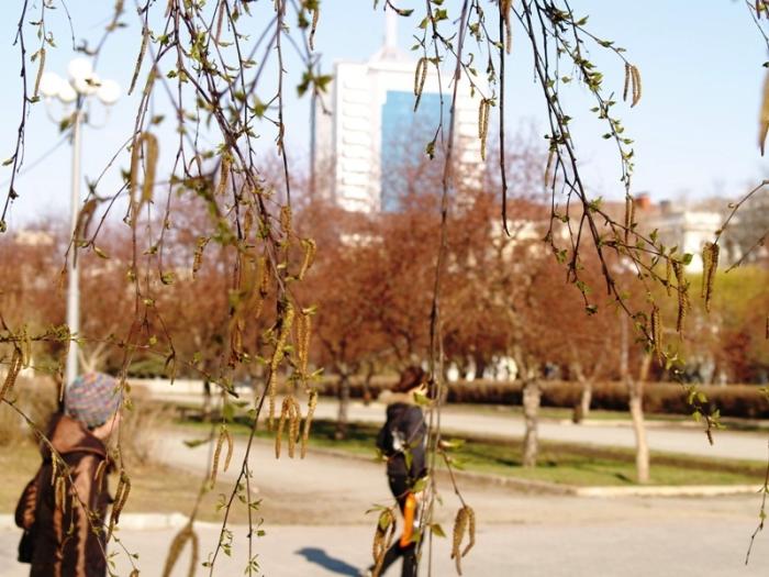 Фото Времена года. Апрель-2008