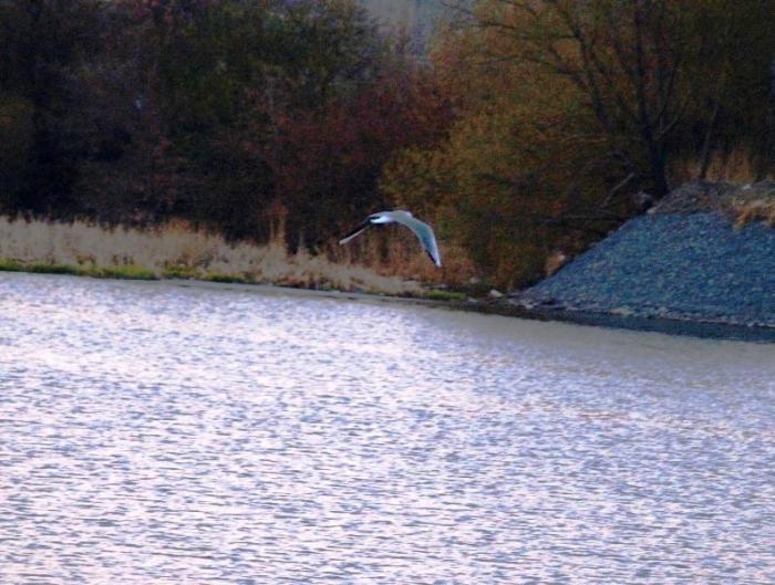 Фото Времена года. Май-2008