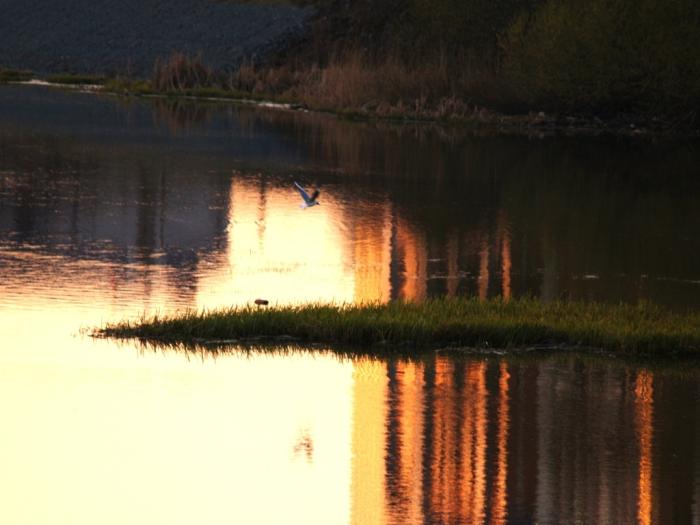 Фото Времена года. Май-2008