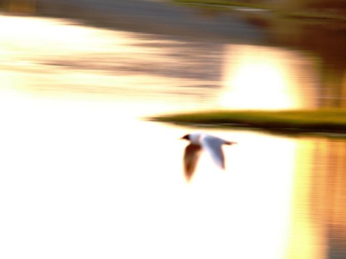 Фото Времена года. Май-2008