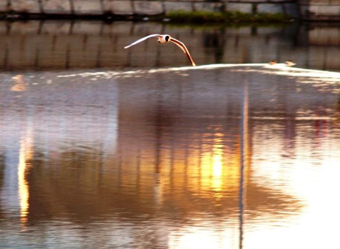 Фото Времена года. Май-2008