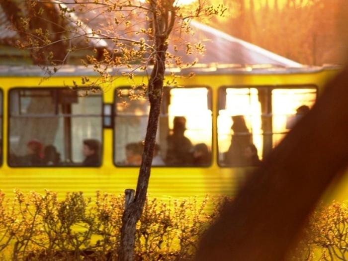 Фото Времена года. Май-2008