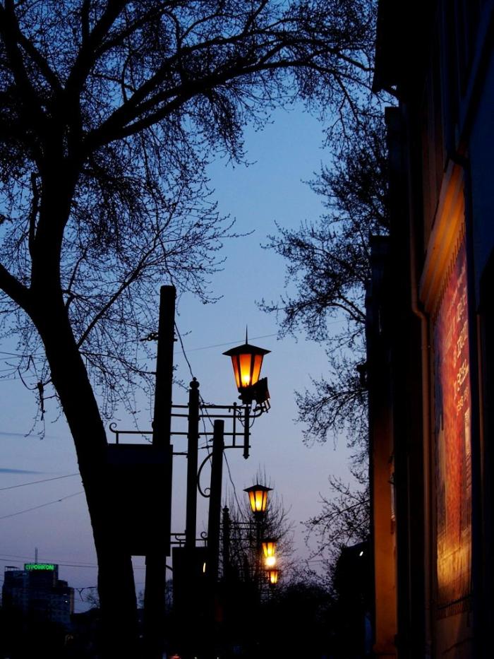 Фото Времена года. Май-2008
