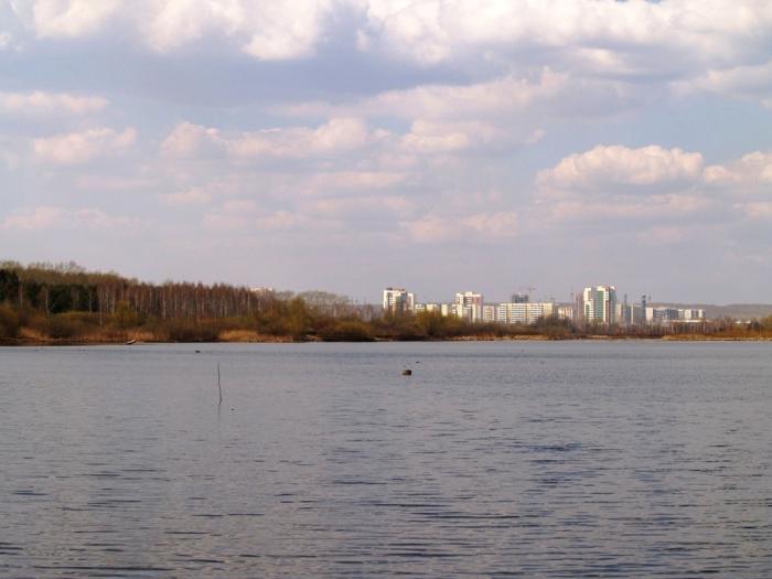 Фото Времена года. Май-2008
