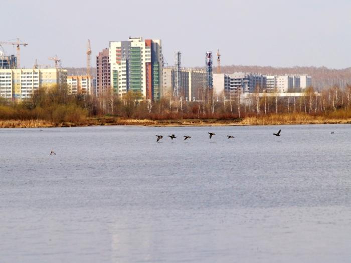 Фото Времена года. Май-2008