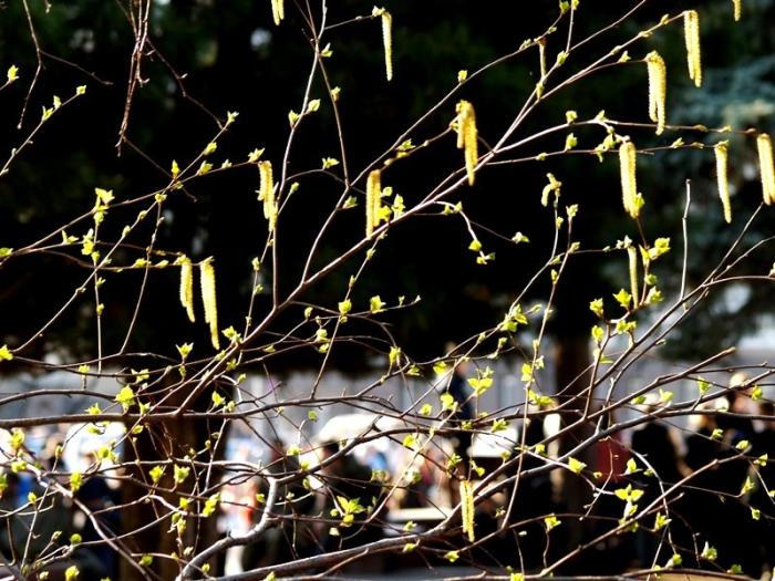 Фото Времена года. Май-2008