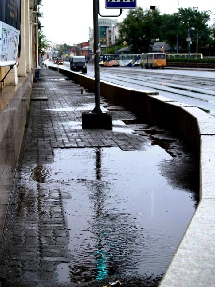 Фото Времена года. Май-2008