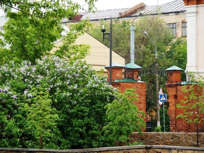 Фото Времена года. Май-2008