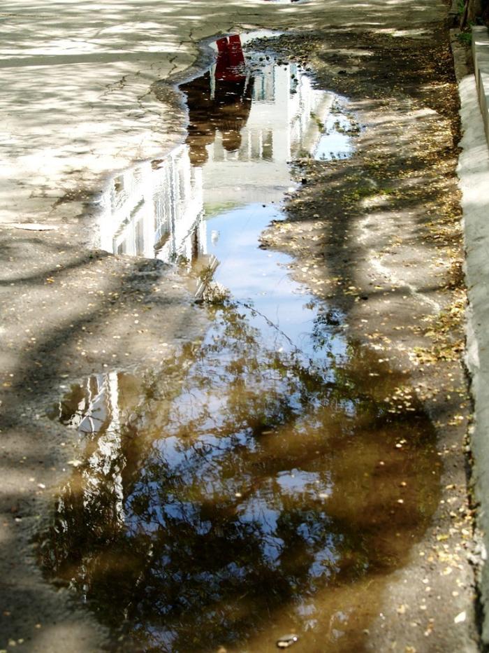 Фото Времена года. Май-2008
