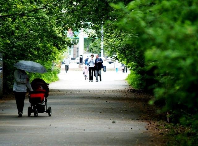 Фото Времена года. Июнь-2008