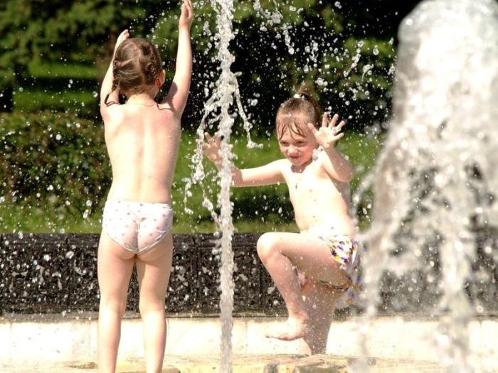 Фото Времена года. Июнь-2008