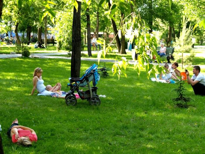Фото Времена года. Июнь-2008