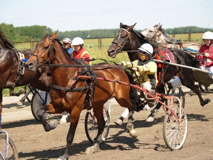 Фото Дубровка. Скачки на приз губернатора